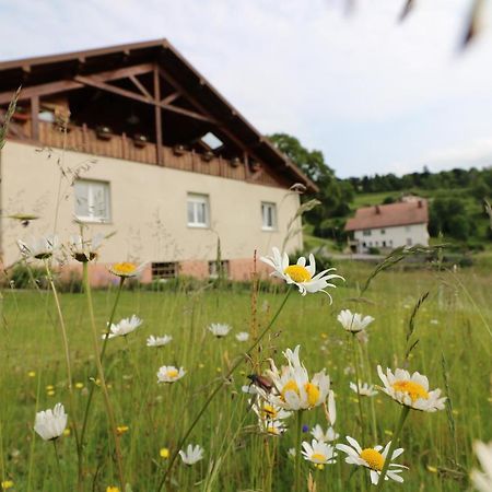 Les Chantenees La Bresse Eksteriør billede